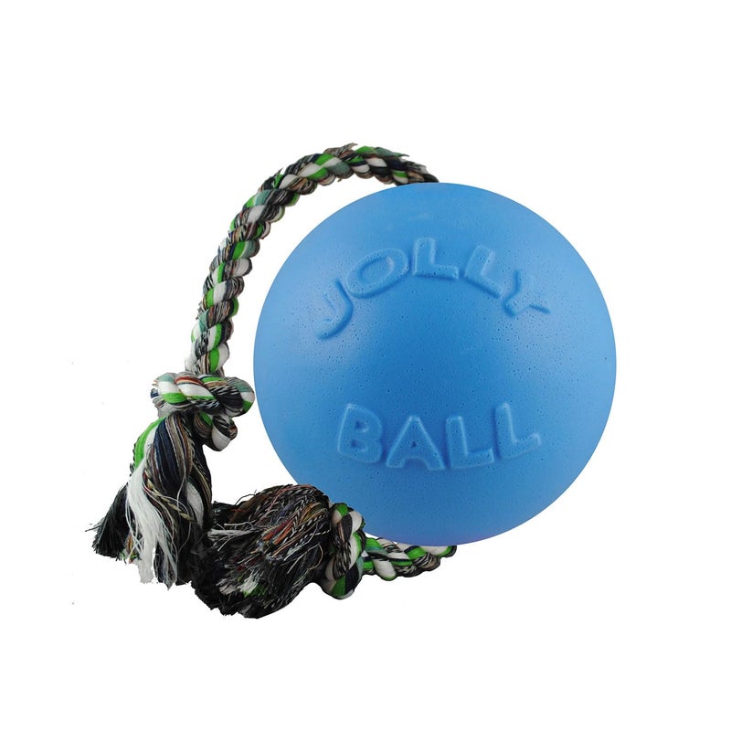 Jolly Pets Romp-n-Roll Rope and Ball Dog Toy, 4.5 Inches/Small, Blueberry for All Breed Sizes - Image 1